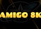 AMIGO 8K: Stable Streaming, Wide Entertainment & Great Value
