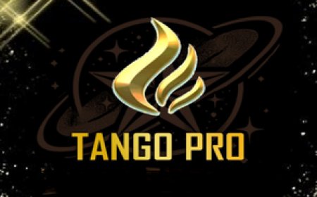 TANGO PRO: Reliable IPTV with a Deep Content Collection