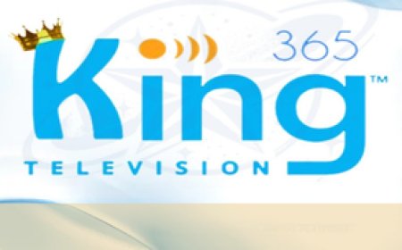 KING 365 TV: Stable IPTV Service with a Vast Content Library