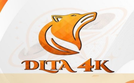 DLTA 4K: Stable IPTV with an Extensive Content Selection
