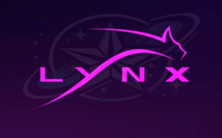 LYNX: Stable IPTV Service with Affordable Pricing