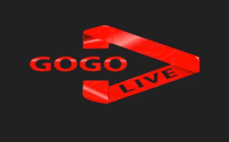 GOGO: Stable IPTV Service with a Comprehensive Content Collection