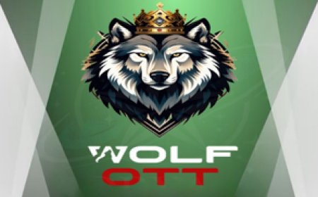 WOLF OTT: Stable IPTV Streaming with an Impressive Content Lineup