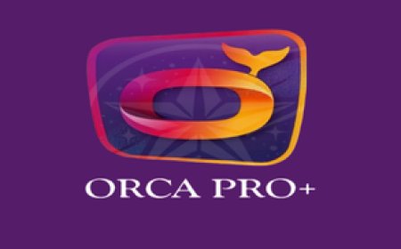 ORCA PRO+: Stable IPTV Streaming with Extensive Content Access