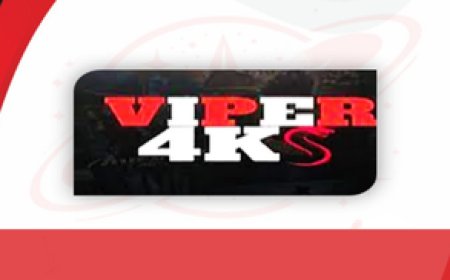 VIPER 4K: Stable IPTV Streaming with a Wide Content Selection