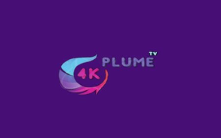 PLUME 4K: Stable IPTV, Extensive Channels & Affordable Options