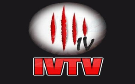 IVTV: Reliable IPTV with a Vast Selection of Entertainment