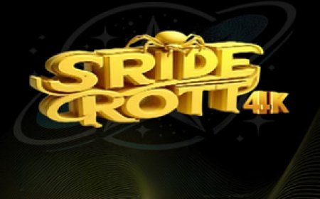 SPIDER OTT 4K: Stable IPTV with Wide Content & Great Value