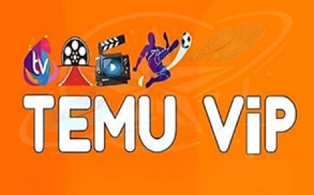 TEMU VIP: Stable Streaming and an Extensive Entertainment Range