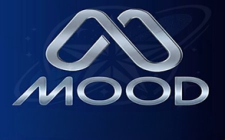 MOOD TV: Stable IPTV Streaming with a Broad Range of Content