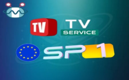 TV SERVICE SP1 SERVER EUROPE: Stable Access for Your Satellite Receiver