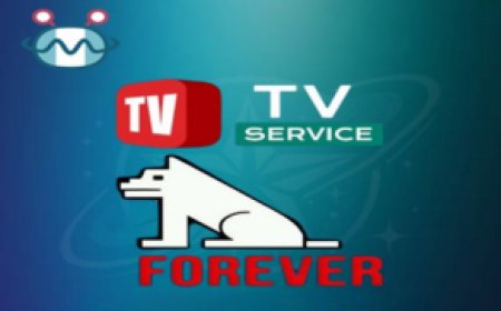 TV SERVICE FOREVER SERVER: Enhance Your Satellite Receiver with Stable Access