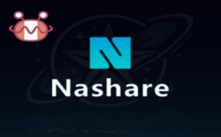 NASHARE SERVER: Stable & Reliable Options for Satellite TV Receiver Access