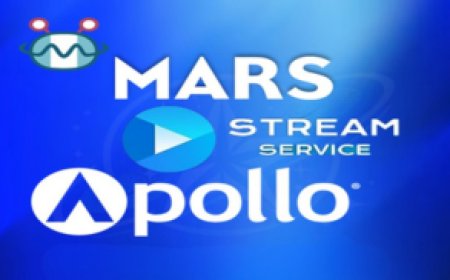 MARS SERVICES: Stable Satellite TV Server Options for Enhanced Receiver Viewing