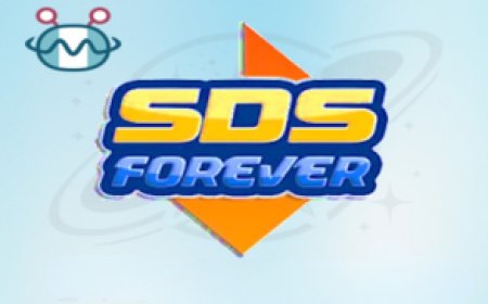 SDS FOREVER DONGLE: Stable & Reliable Server Solution for Satellite Receivers