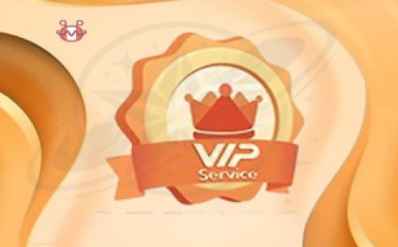 VIP PACKAGE: Premium Server for Maximized Satellite Receiver Entertainment