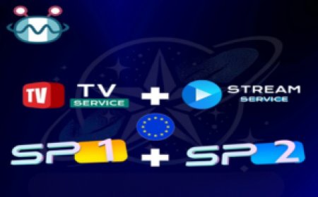 COMBO SP1+SP2: Stable Server for Comprehensive European Satellite Receiver Access