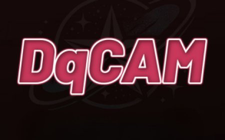 DQCAM Server: Stable Sharing Access for Compatible Satellite Receivers