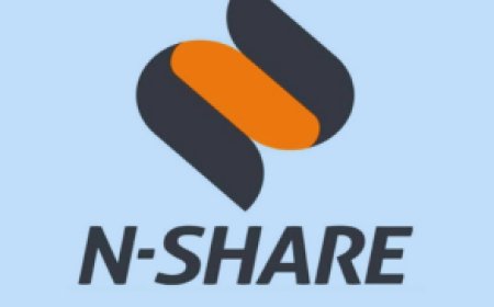 N-SHARE Server: Stable Sharing Solution for Satellite TV Receiver Access