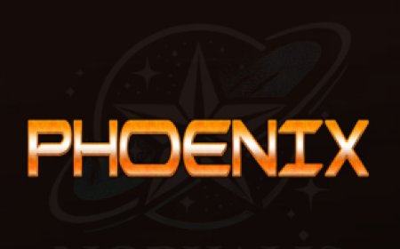 PHOENIX Server: Stable Sharing Access for Satellite TV Receivers