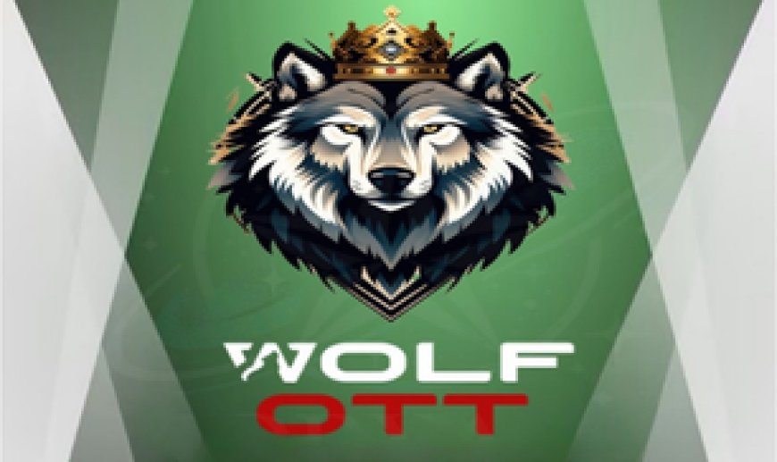 WOLF OTT: Stable IPTV Streaming with an Impressive Content Lineup